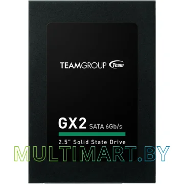 SSD диск Team GX2 256GB T253X2256G0C101
